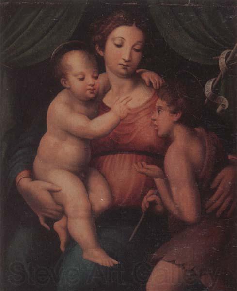 unknow artist The Madonna and child with the infant saint john the baptist Norge oil painting art